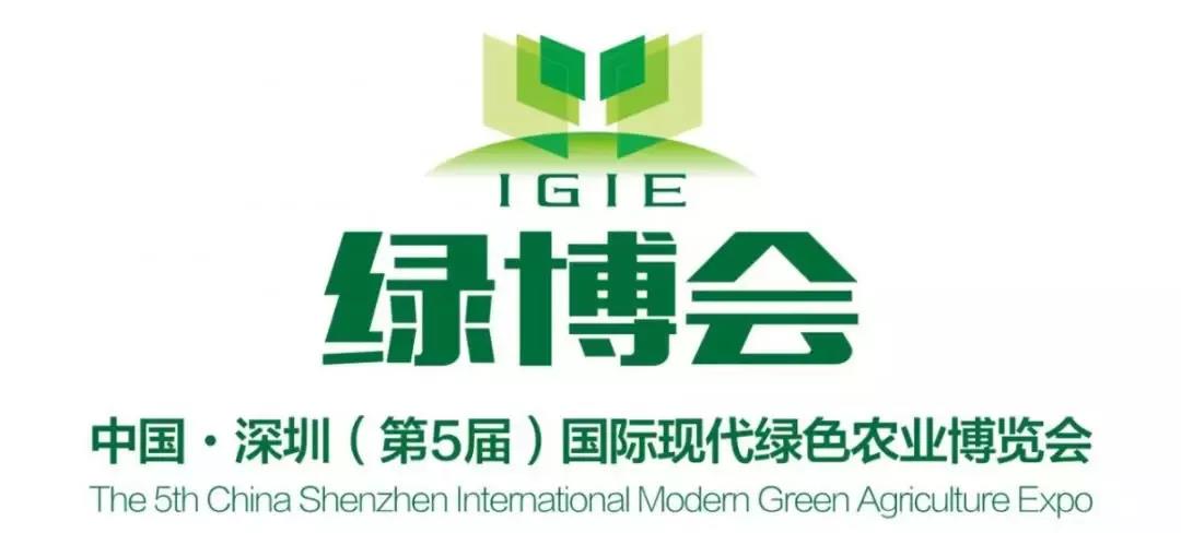 游泳馆设备，游泳池设备，游泳池水处理设备