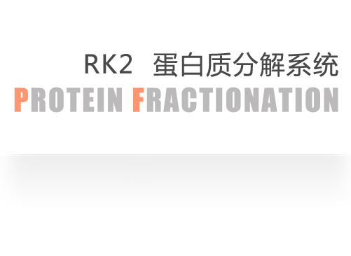 RK2蛋白质分解系统