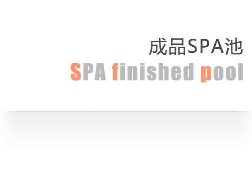 PE2010-S4X SPA池 SPA水疗池