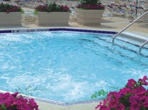 Natare whole swimming pool