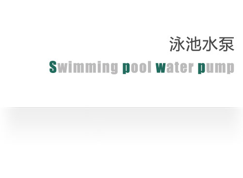 瑞莱斯Resilience泳池水泵